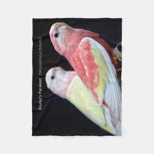 Couverture Polaire La Perruche de Rubino Bourke (Devant)