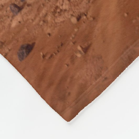 Couverture Polaire La Persévérance Arrive En Toute Sécurité Sur Mars. (Coin)