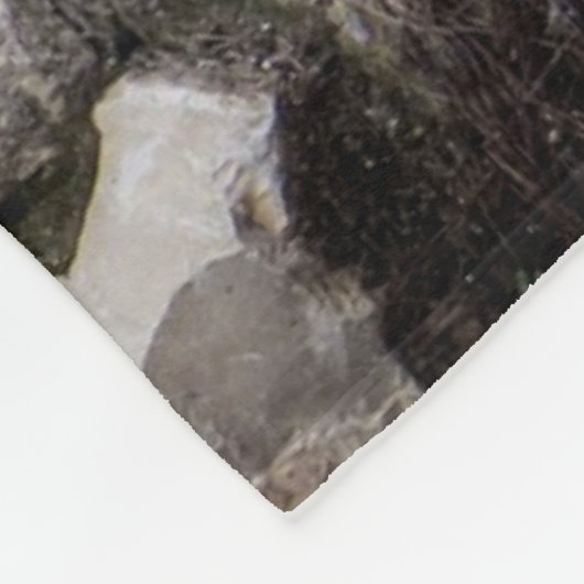 COUVERTURE POLAIRE LA TOMBE DE JÉSUS (Coin)