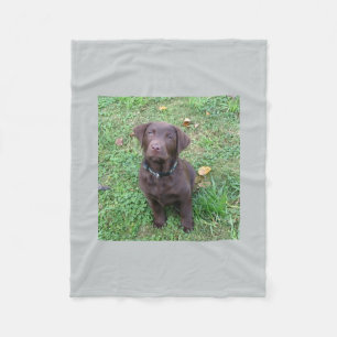 Couverture Polaire laboratoire pup.png de chocolat