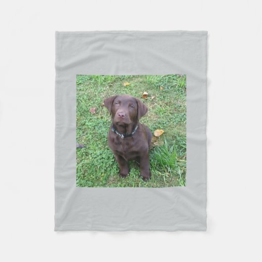 Couverture Polaire laboratoire pup.png de chocolat (Devant)