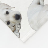 Couverture Polaire Labrador En Regard Vers Le Haut (Coin)