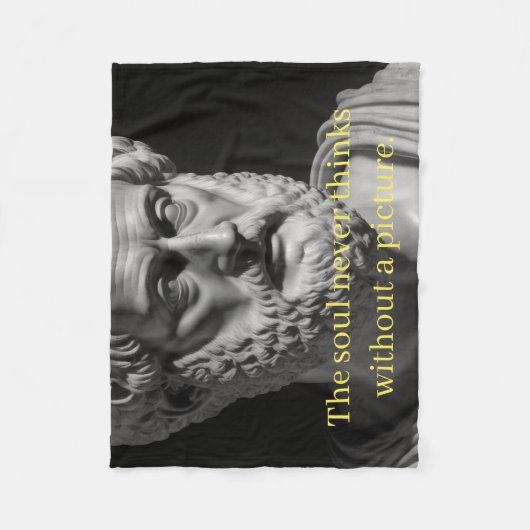 Couverture Polaire L'âme ne pense jamais sans une image (Devant)