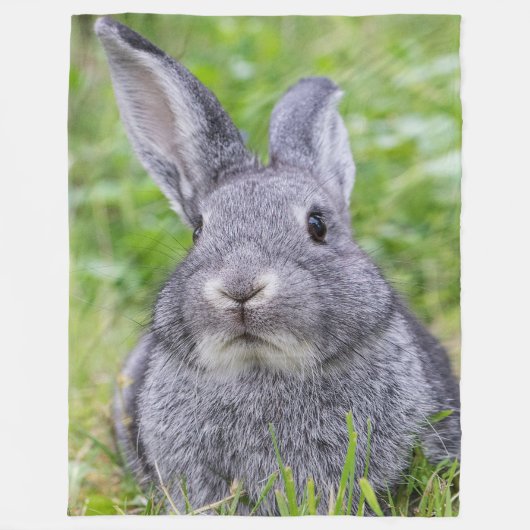 Couverture Polaire Lapin nain (Devant)