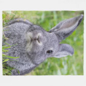 Couverture Polaire Lapin nain (Devant (Horizontal))