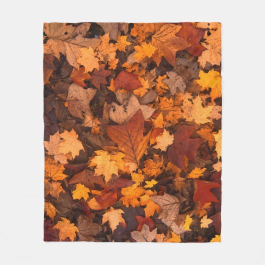 Couverture Polaire l'automne (Devant)