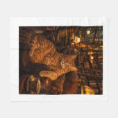 Couverture Polaire "Le Chat de la Librairie  (Devant (Horizontal))