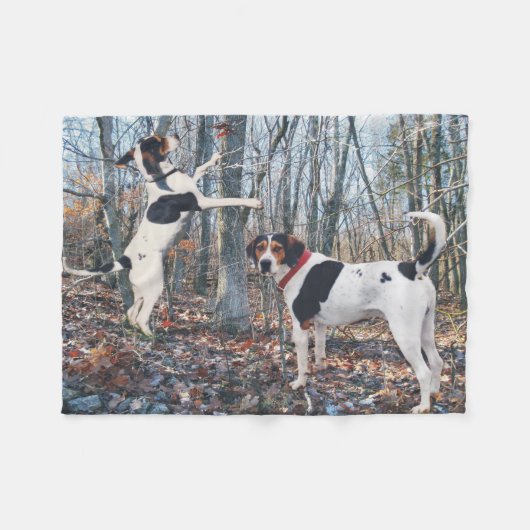 Couverture Polaire Le Coonhound de marcheur de Treeing poursuit la (Devant (Horizontal))