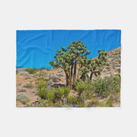 Couverture Polaire Le Monument national de Gold Butte (Devant (Horizontal))