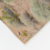 Couverture Polaire Le Monument national de Gold Butte (Coin)