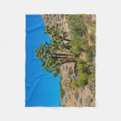 Couverture Polaire Le Monument national de Gold Butte (Devant)