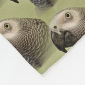 Couverture Polaire Le perroquet gris africain du Congo (Coin)