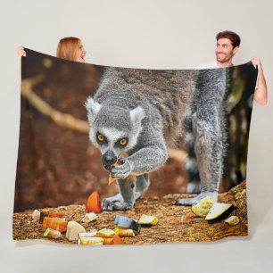 COUVERTURE POLAIRE LEMUR