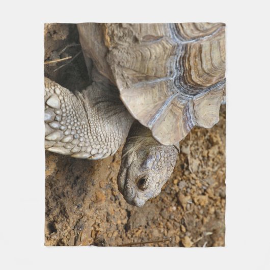 Couverture Polaire Lent (Devant)