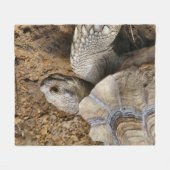 Couverture Polaire Lent (Devant (Horizontal))