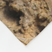 Couverture Polaire Lent (Coin)