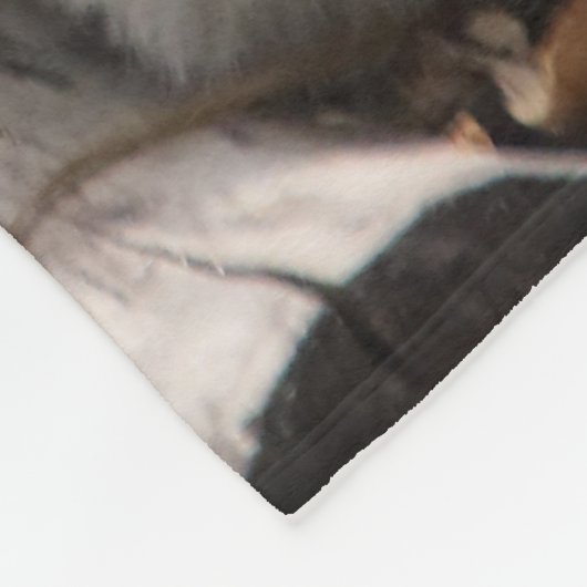 Couverture Polaire Leopard 002 (Coin)