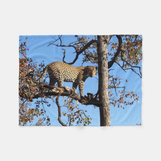 Couverture Polaire Leopard dans un arbre en Afrique (Devant (Horizontal))