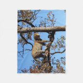 Couverture Polaire Leopard dans un arbre en Afrique (Devant)