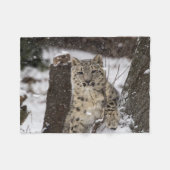 Couverture Polaire Léopard de neige CUB (Devant (Horizontal))