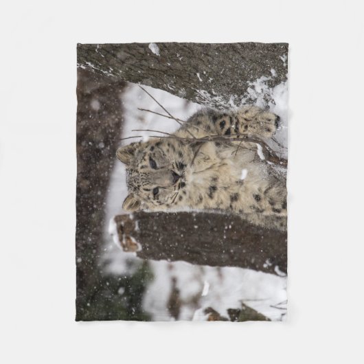 Couverture Polaire Léopard de neige CUB (Devant)