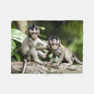 Couverture Polaire Les bébés singes dans la nature