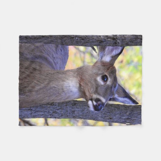 Couverture Polaire Les cerfs dans les bois (Devant (Horizontal))