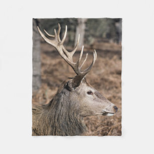 Couverture Polaire Les cerfs du roi du parc Richmond, Londres, Royaum