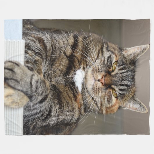 COUVERTURE POLAIRE LES CHATS SAVENT QU'ILS RÈGNENT (Devant (Horizontal))