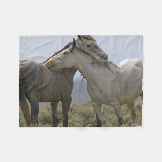 Couverture Polaire Les Chevaux Sauvages (Devant (Horizontal))