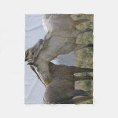 Couverture Polaire Les Chevaux Sauvages (Devant)