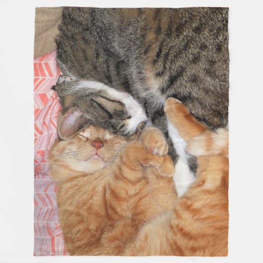 Couverture Polaire Les copains (Devant)