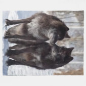 COUVERTURE POLAIRE LES LOUPS NOIRS (Devant (Horizontal))