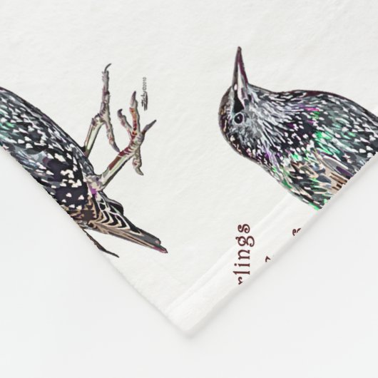 Couverture Polaire Les Starlings Sont Des Darlings (Coin)