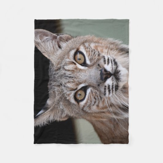 Couverture Polaire Les yeux d'un chat sauvage (Devant)