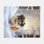 Couverture Polaire L'Espagnol Tibétain Laissons Il Neige Noël (Devant (Horizontal))