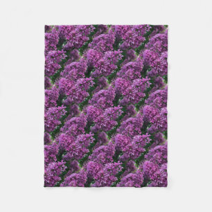 Couverture Polaire lilas rose violet photo florale rose romantique