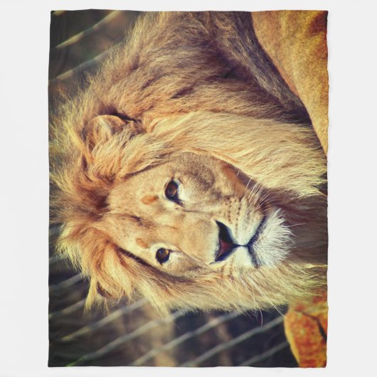 Couverture Polaire Lion (Devant)