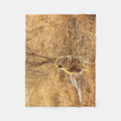 Couverture Polaire Lion (Devant)