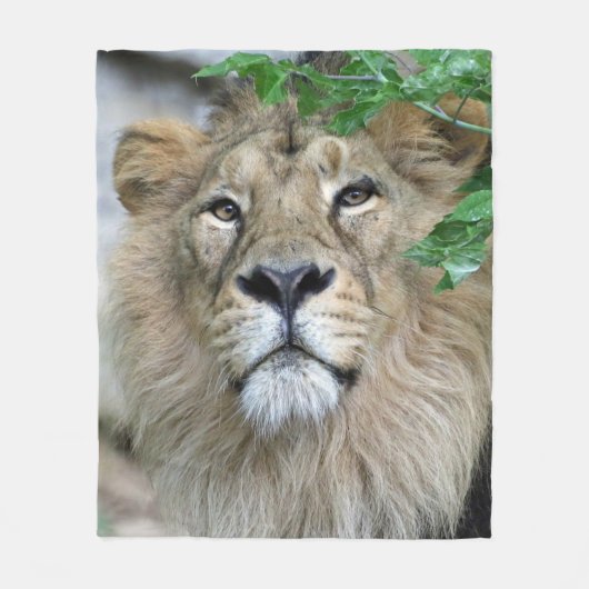 Couverture Polaire Lion 002 (Devant)