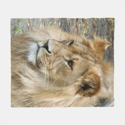 Couverture Polaire Lion 011 (Devant (Horizontal))