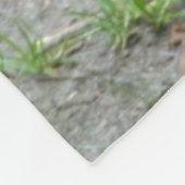 Couverture Polaire Lion 011 (Coin)