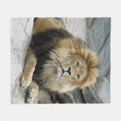 Couverture Polaire Lion 020 (Devant (Horizontal))