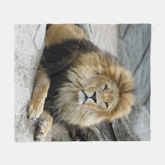 Couverture Polaire Lion 020 (Devant (Horizontal))