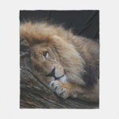 Couverture Polaire Lion 030 (Devant)