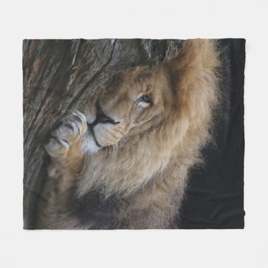 Couverture Polaire Lion 030 (Devant (Horizontal))