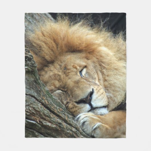 Couverture Polaire Lion 036 (Devant)