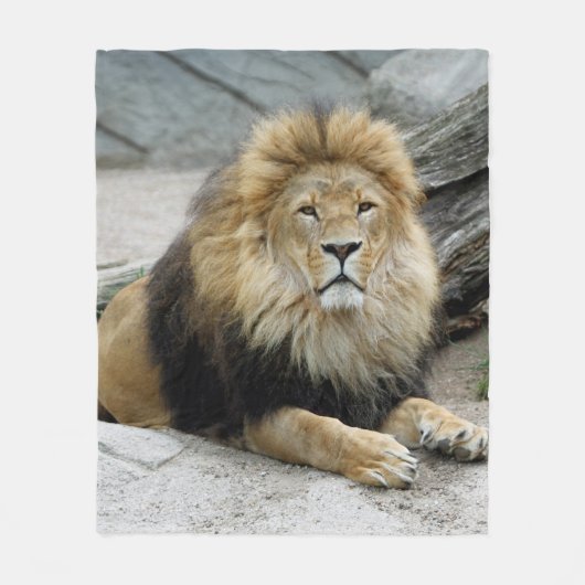 Couverture Polaire Lion_2014_1001 (Devant)