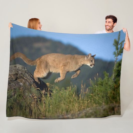 COUVERTURE POLAIRE LION DE MONTAGNE (En situation)