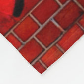 Couverture Polaire Lion en colère (Coin)